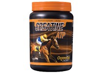 Creatine ATP x  500 grs.