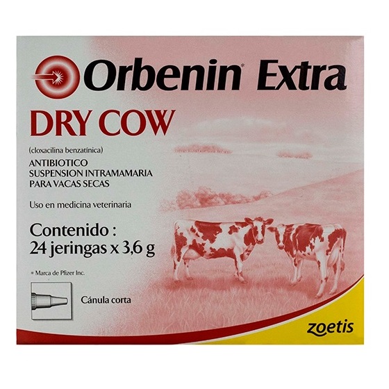 Orbenin extra caja de 24 unidades