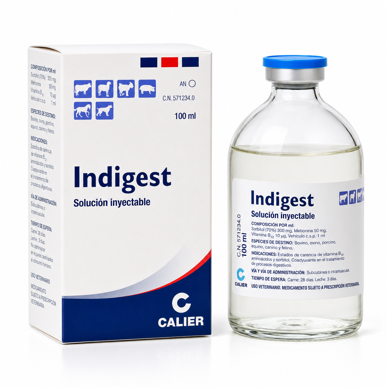 Indigest 100 ml