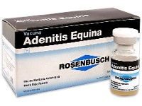 Adenitis equina