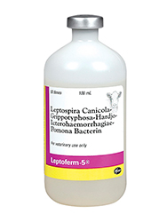 Leptoferm 5 x 100ml (50 dosis)