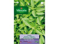Semilla de albahaca lemon Vilmorin (511)