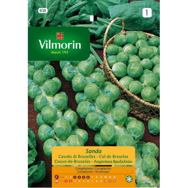 Sem.VILMORIN col de bruselas(838)