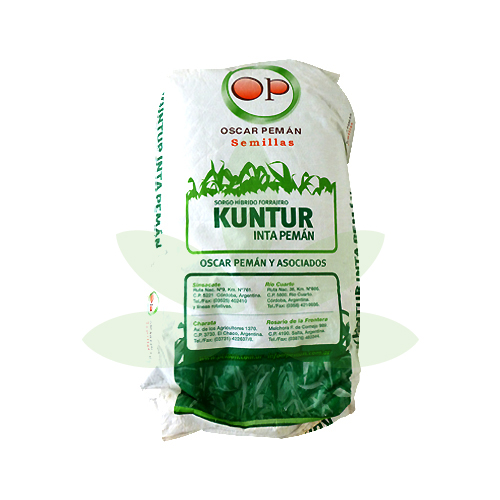extra_image_preview_sorgo--kuntur.jpg