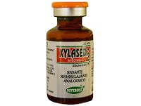 Xylased 2 x 20 ml.