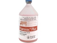 Transvac x 250 ml (50 dosis)