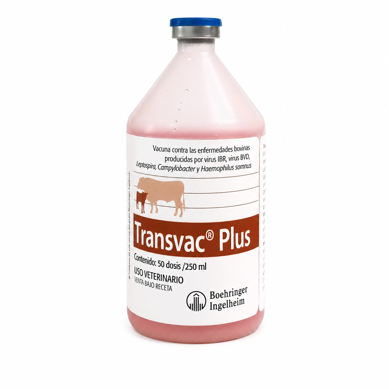 Transvac x 250 ml (50 dosis)