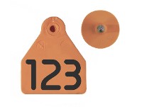 Caravanas Allflex No.12  Numeradas  naranjas
