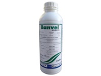 Dicamba BANVEL x 1 lt.