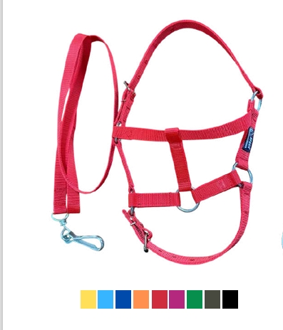 EFEKA Bozal y cabresto cinta de potrillo