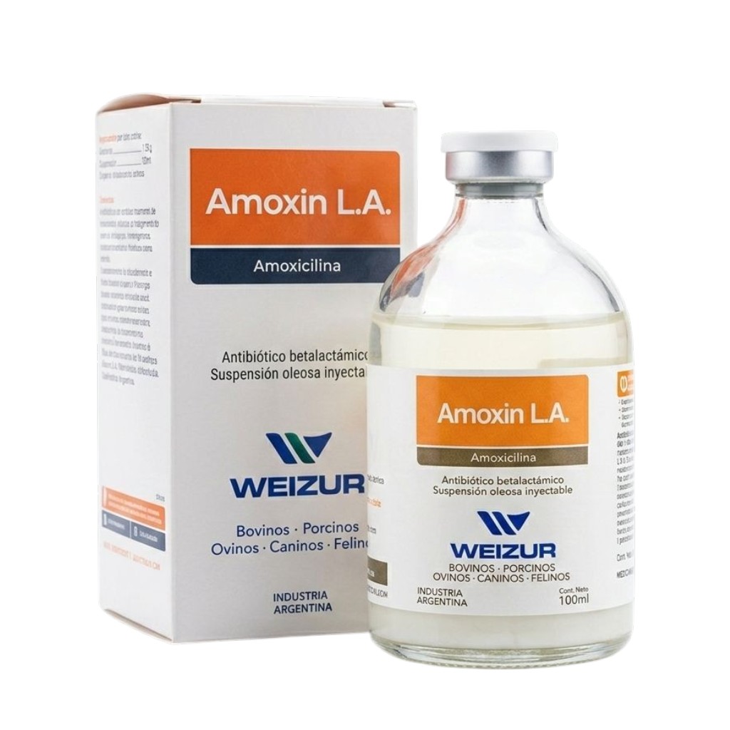 Amoxicilina x 100cc