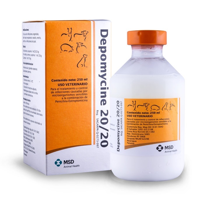 Depomycine 250 cc