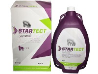 Startect oral x 5 lts.