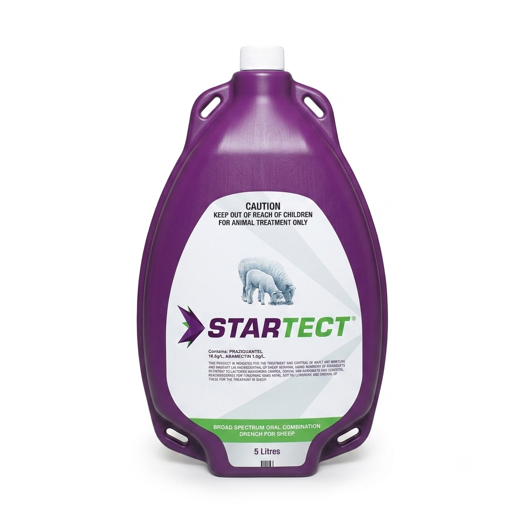 Startect oral x 5 lts.