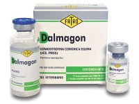 Dalmagon x (5000 UI + solvente x 25ml)