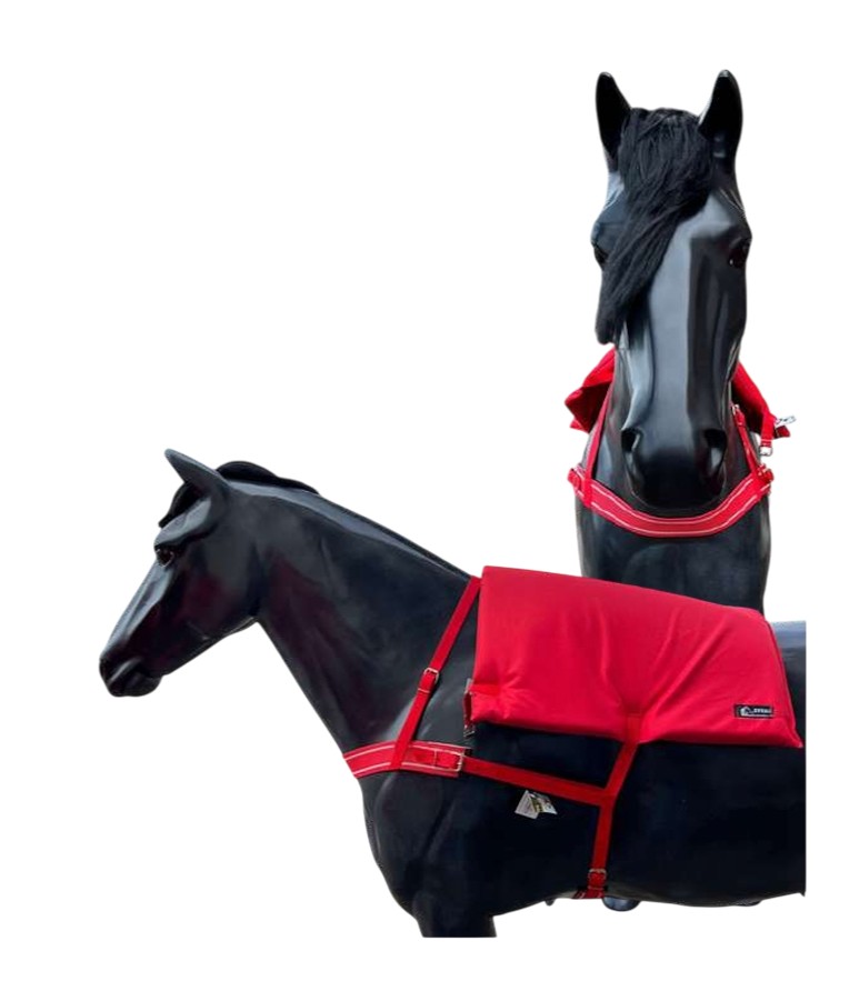 EFEKA Pechera elastica c/cinta