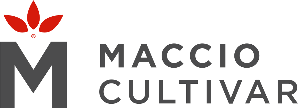 Maccio