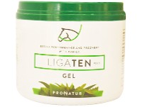 Ligaten GEL para masajes x 500cc