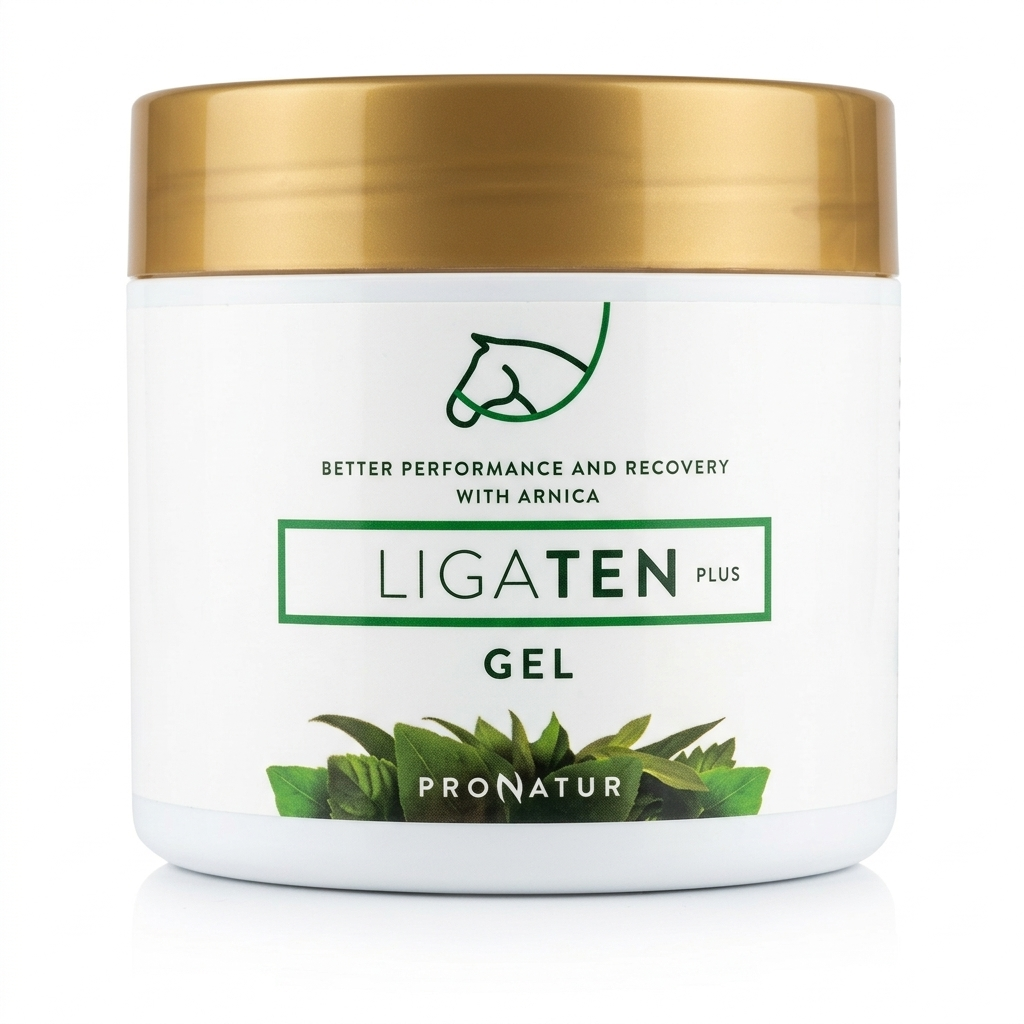 Gel LIGATEN Plus para masajes 500 cc