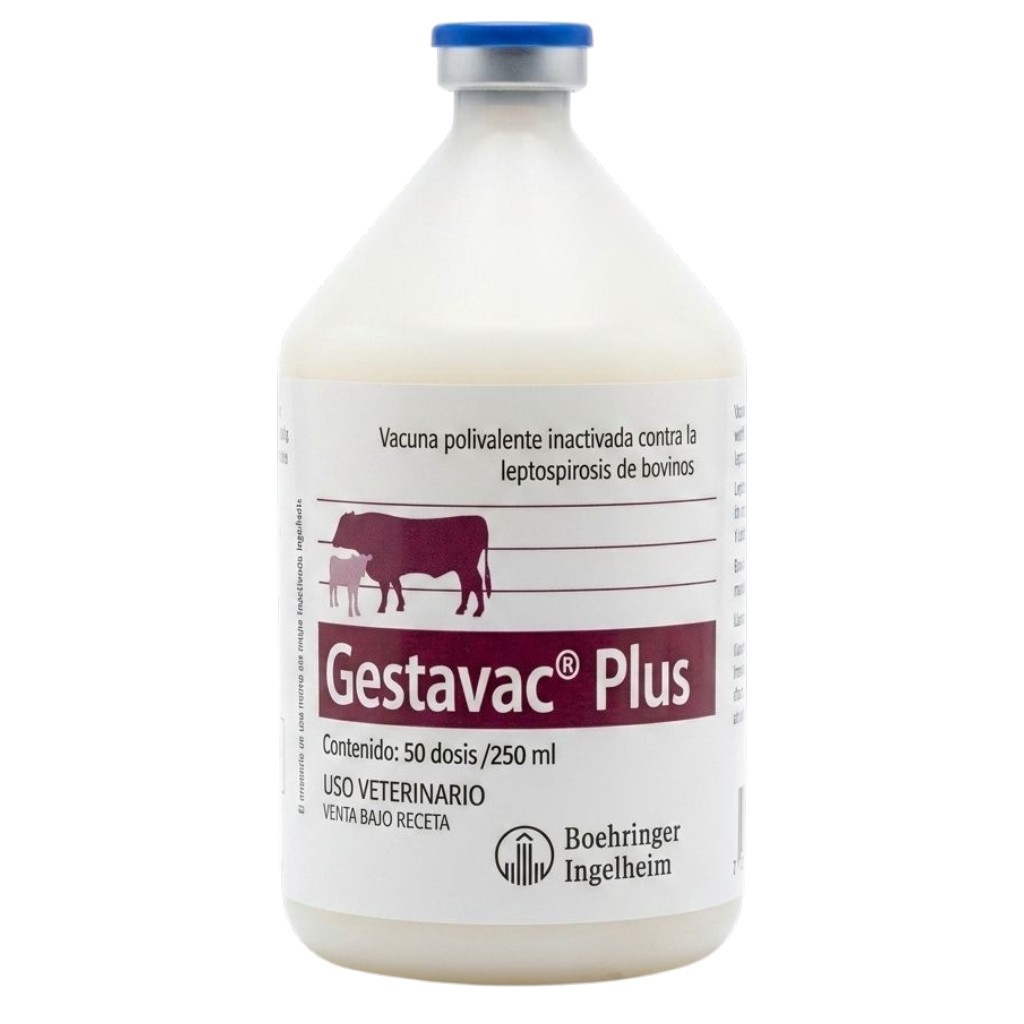 Gestavac x 250 ml (50 dosis)