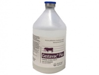 Gestavac x 250 ml (50 dosis)