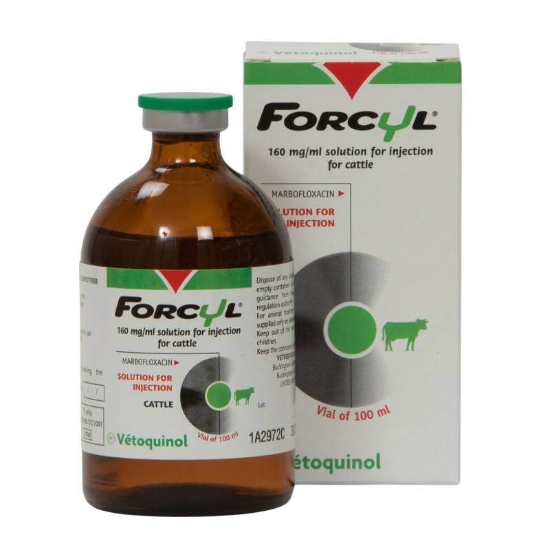Forcyl 160 mg/ml 100 ml