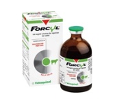 Forcyl 160 mg/ml x 100 ml