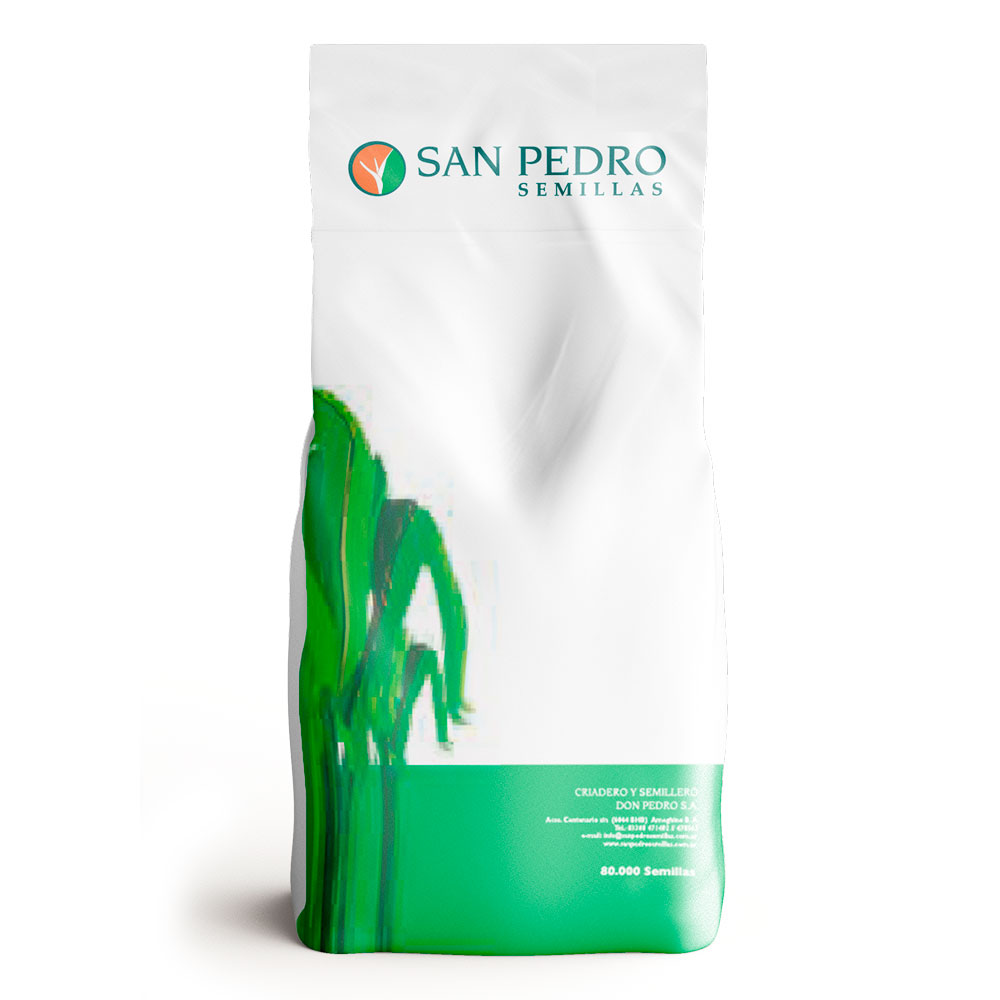 Sorgo forrajero HULK BMR con insecticida + Fluxofenim