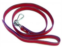 Collar cincha de nylon con herraje galvanizado N4-30x110cm