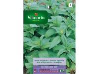 Semilla de menta Vilmorin (524)