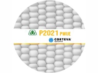 Maiz PIONEER P 2021 PWUE Enlist x Bolsa 80.000 semillas