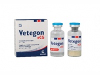 Vetegon x (5000 UI + solvente 25 ml)