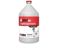 Leptospirosis CDV x 50 dosis