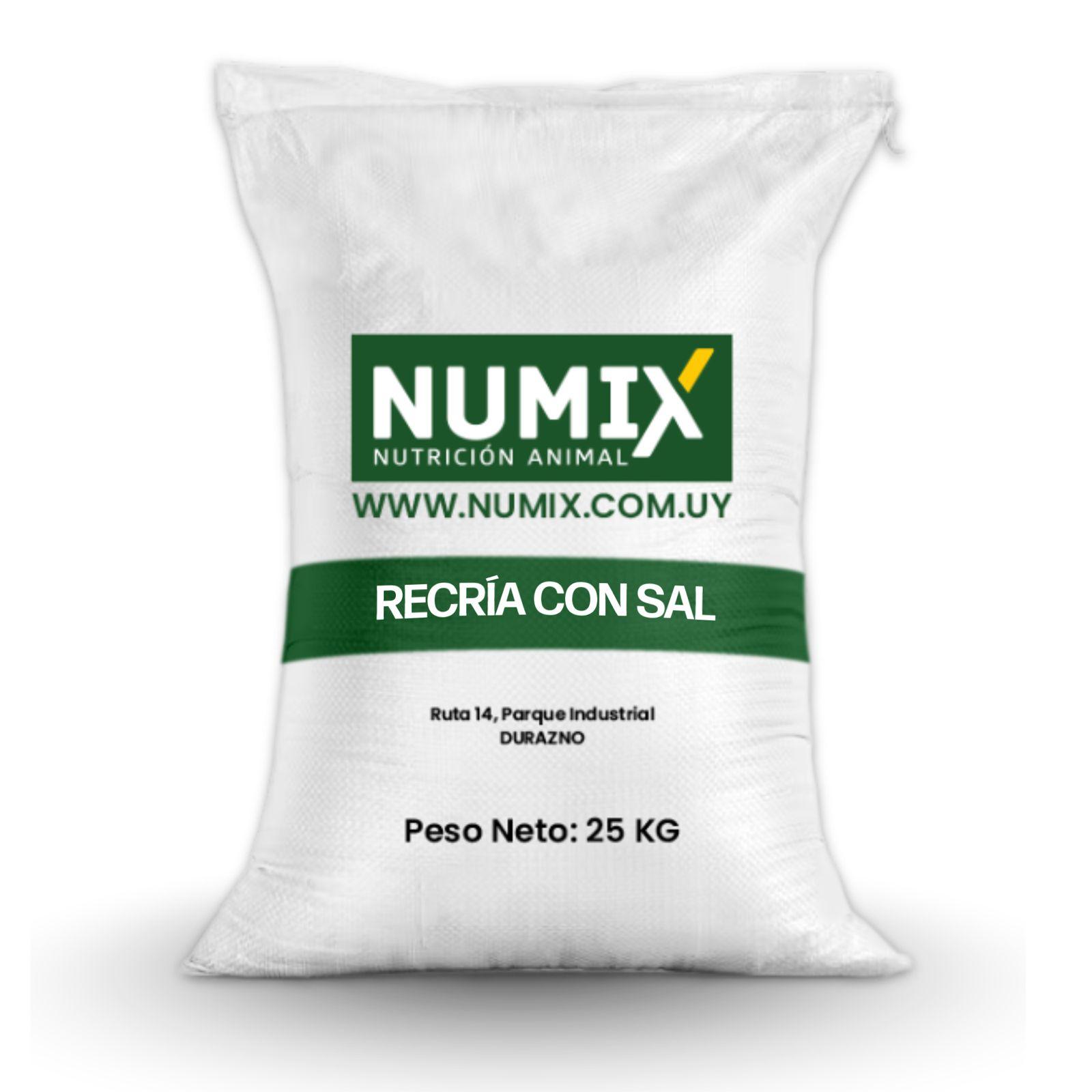 Raci�n NUMIX 14% recr�a con sal 25 kilos