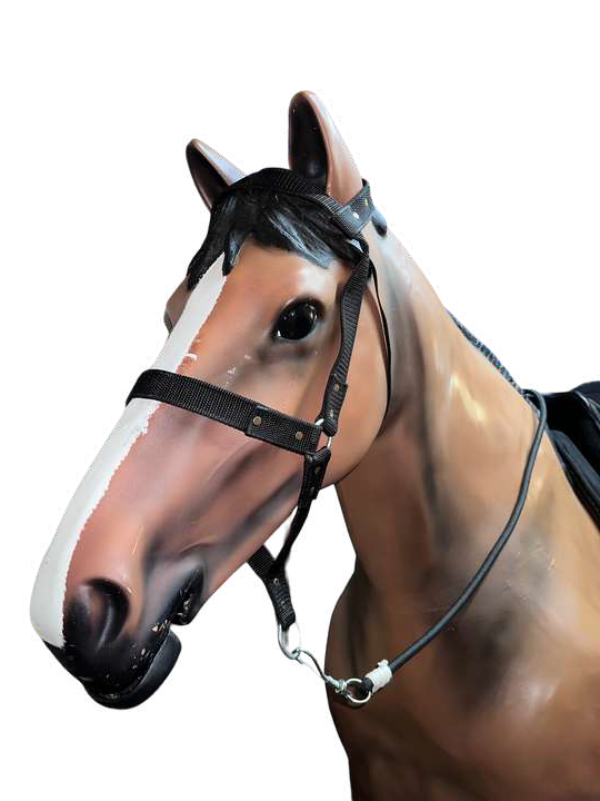 EFEKA Bozal y cabresto cinta brasil (BCB)