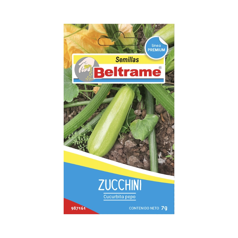 Sem.BELTRAME zapallito zucchini