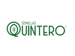 Quintero Semillas