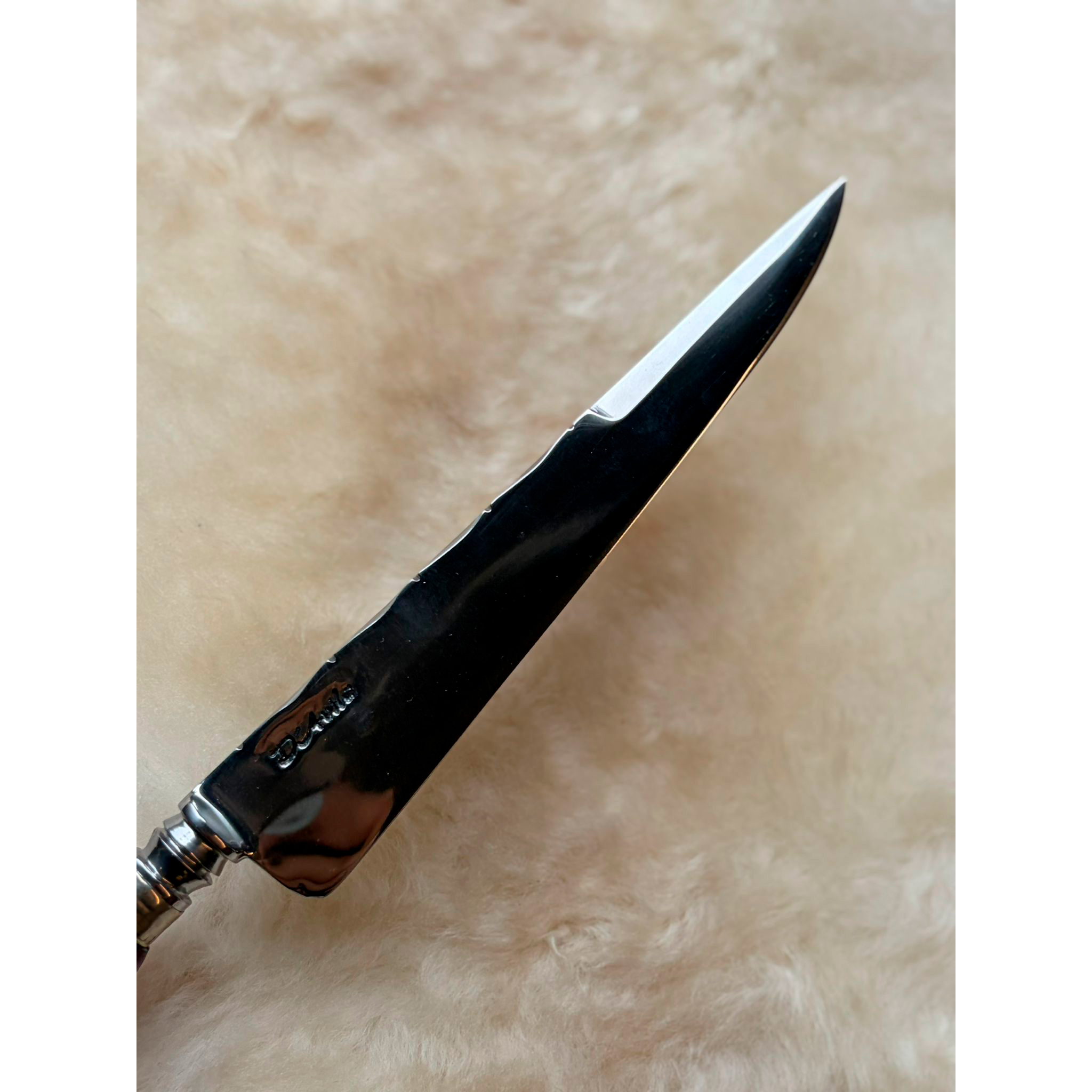 extra_image_preview_HOJA-CUCHILLO.jpg