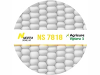 Maiz NIDERA NS 7818 Viptera 3 x Bolsa 80.000 semillas