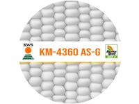 Maiz KM 4360 ASG (Refugio) x Bolsa 70.000 semillas