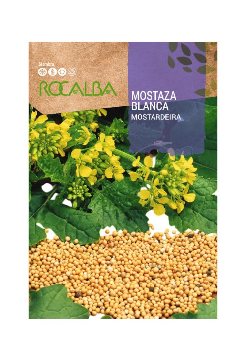 Sem.ROCALBA mostaza blanca