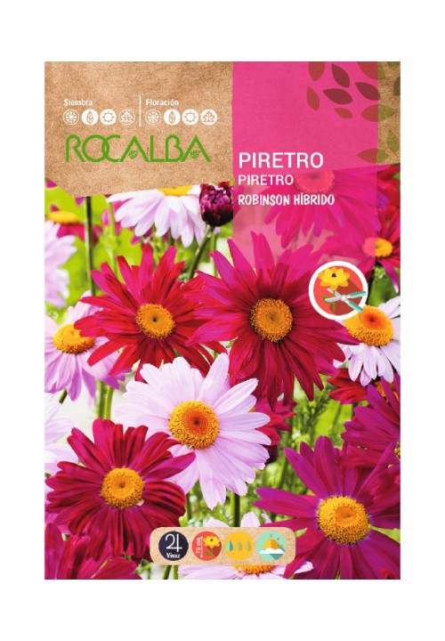 Sem.ROCALBA piretro robinson hibrido variado