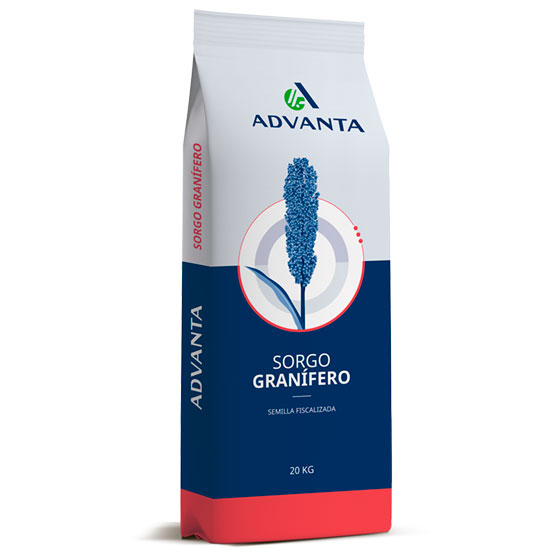 Sorgo granifero ADV G2550 IGAX x 600.000 semillas con insecticida + fungicda