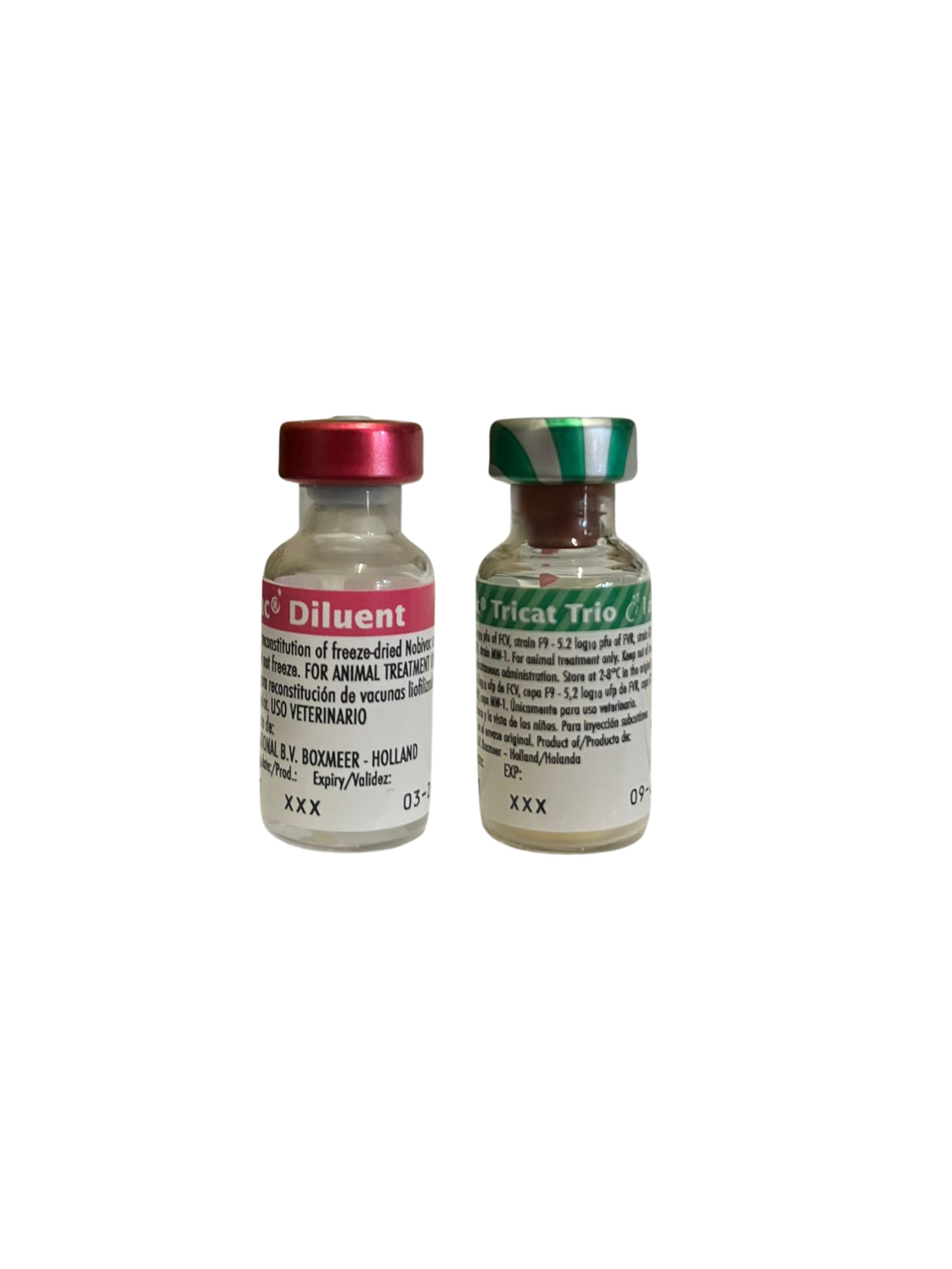 Nobivac Gatos x 1 unidad