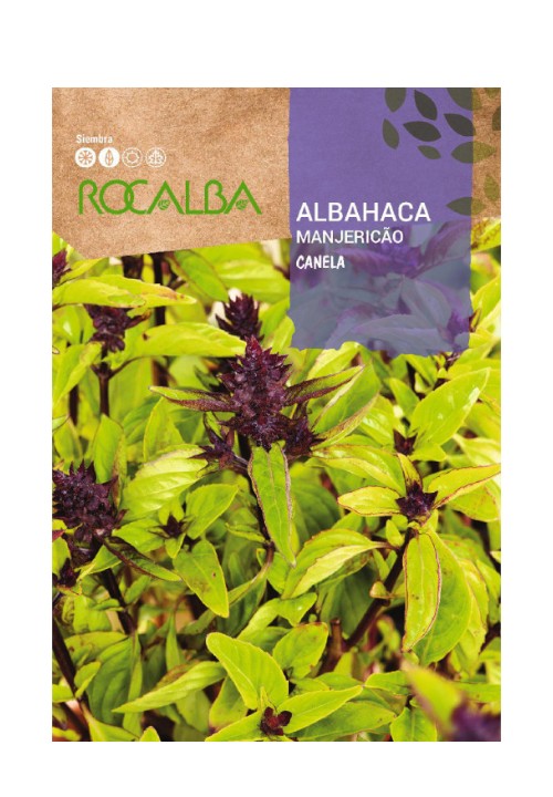 Sem.ROCALBA albahaca canela