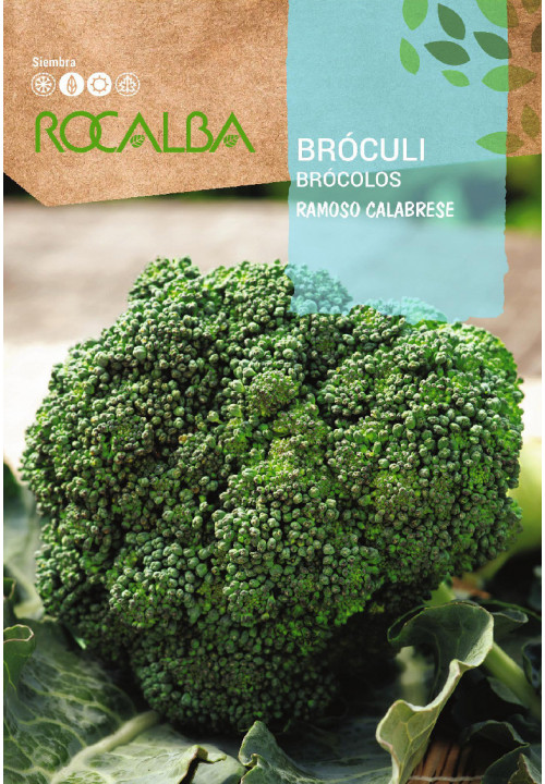 Sem.ROCALBA brocoli ramoso calabrese