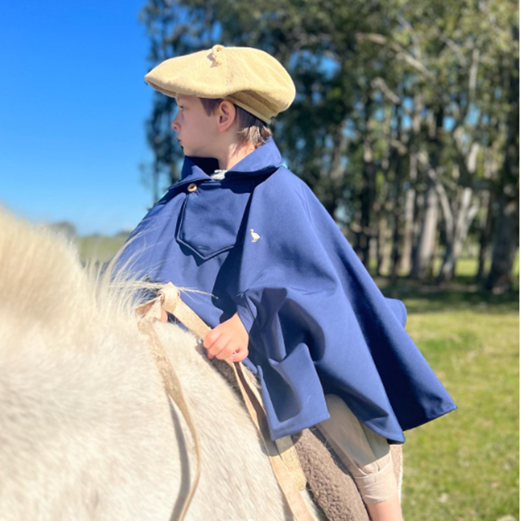 extra_image_preview_poncho_2.jpg