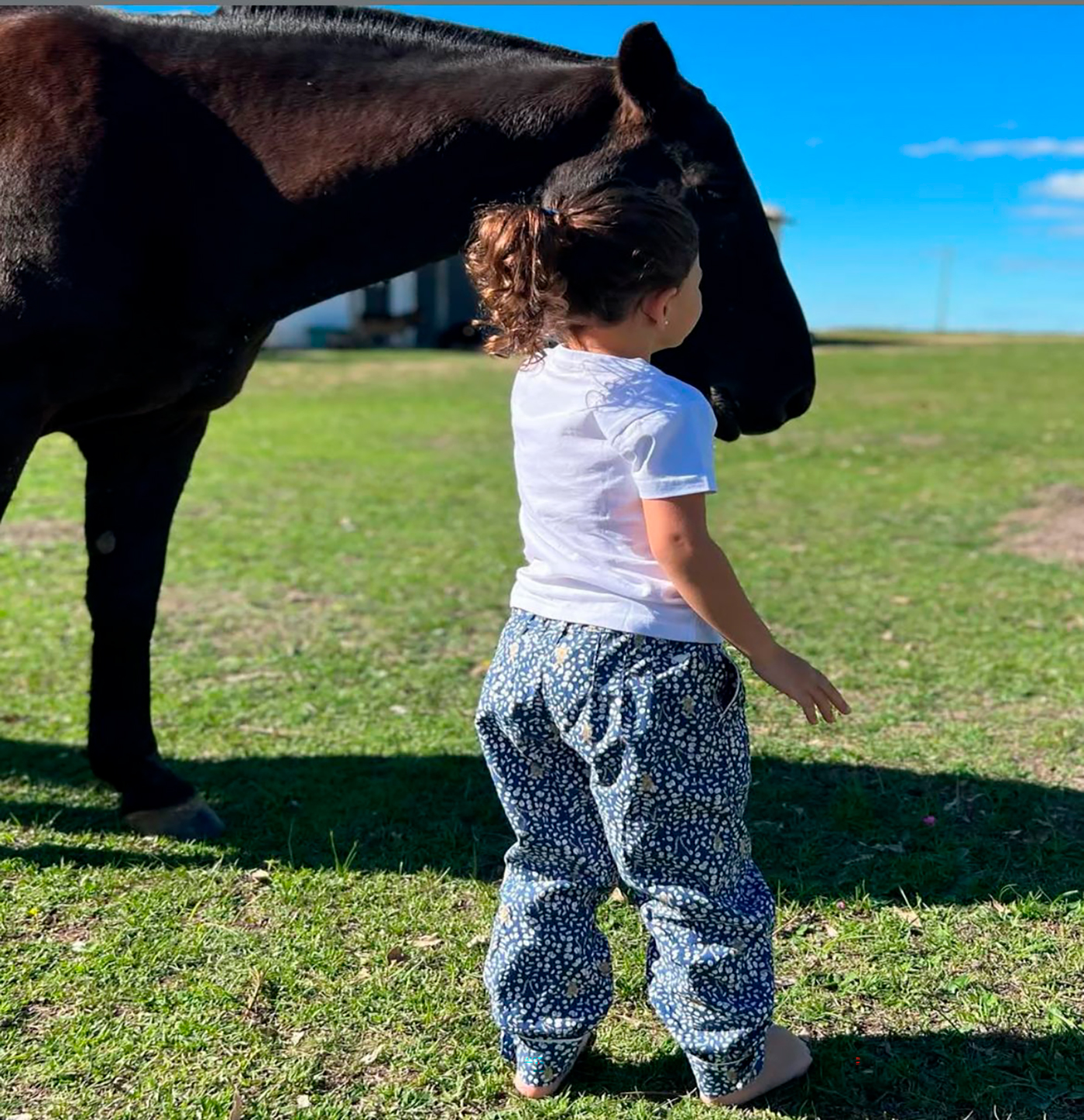Bombacha CHARABON conejo