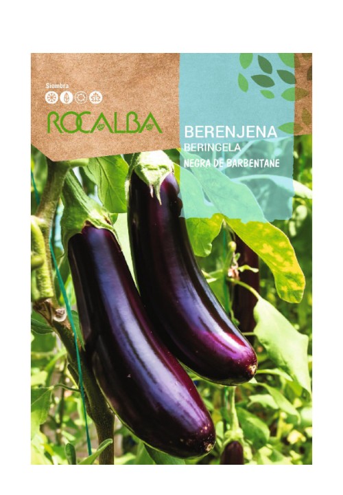 Sem.ROCALBA berenjena negra de Barbentane
