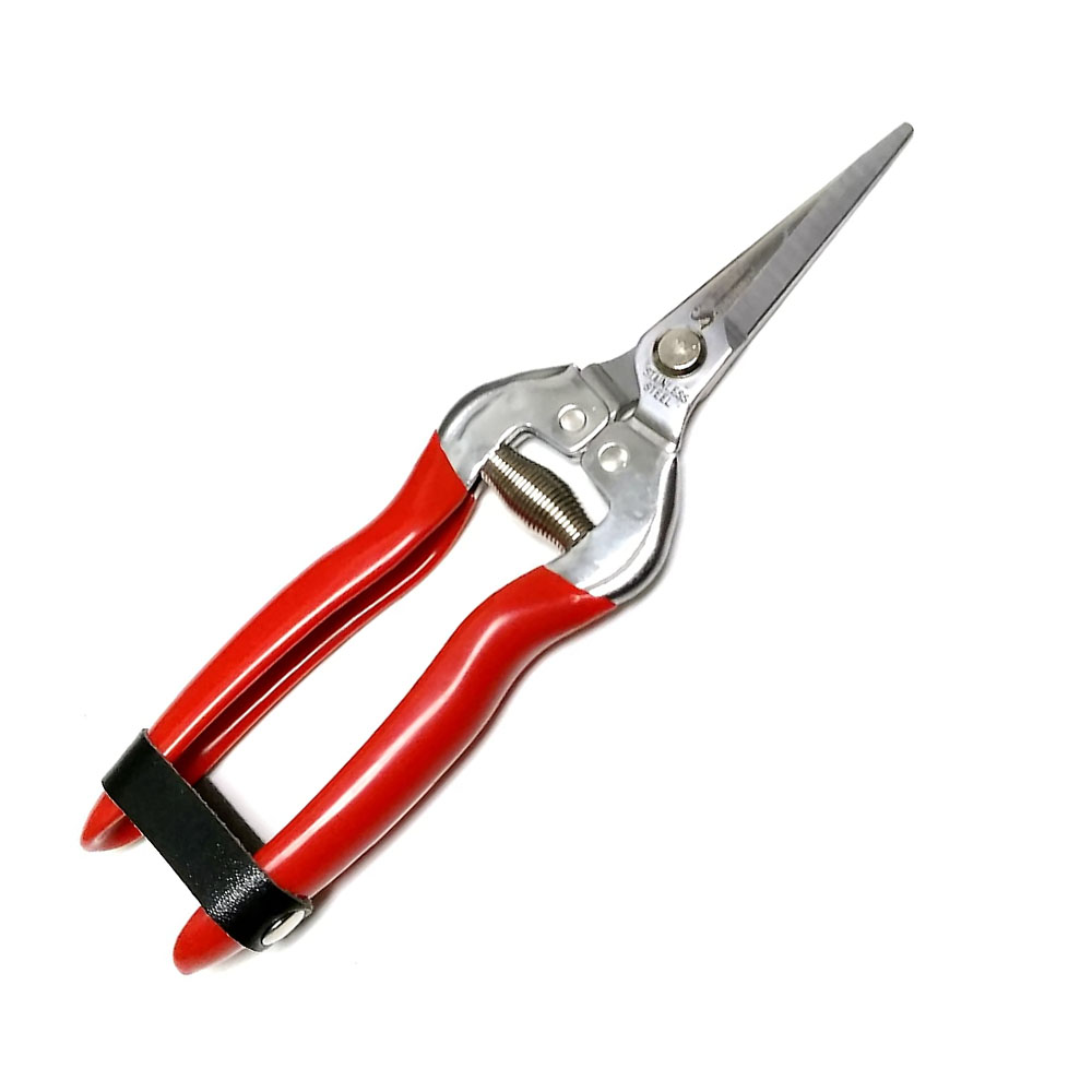 Tijera p/vivero acero inox. 18cm CARPA 02K18